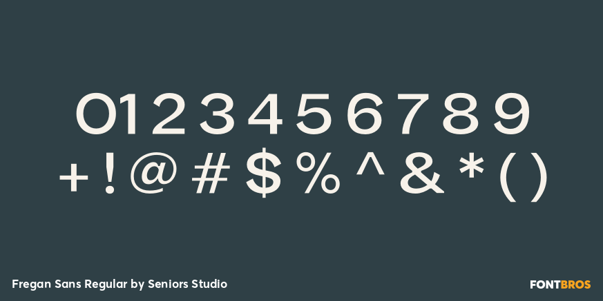 Fregan Sans Regular Font Poster #1