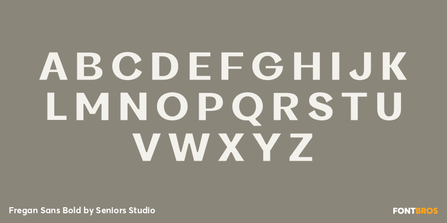 Fregan Sans Bold Font Poster #2