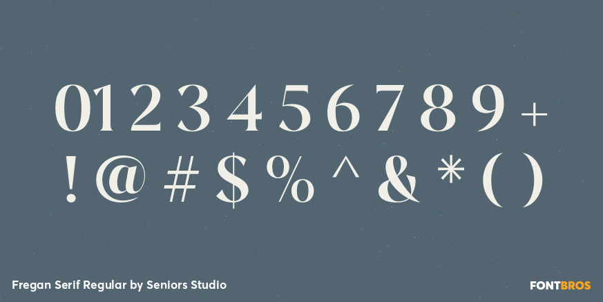 Fregan Serif Regular Font Poster #1
