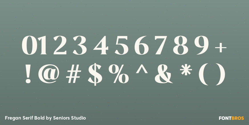 Fregan Serif Bold Font Poster #1