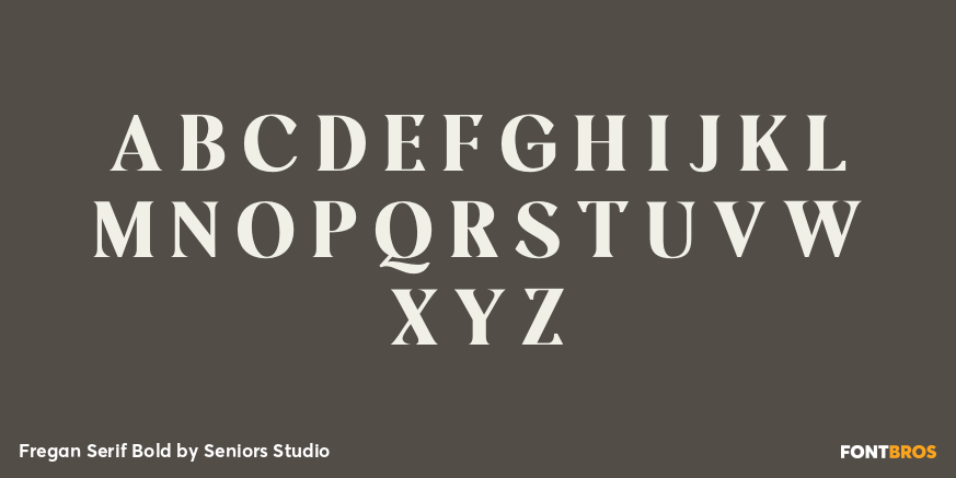 Fregan Serif Bold Font Poster #1