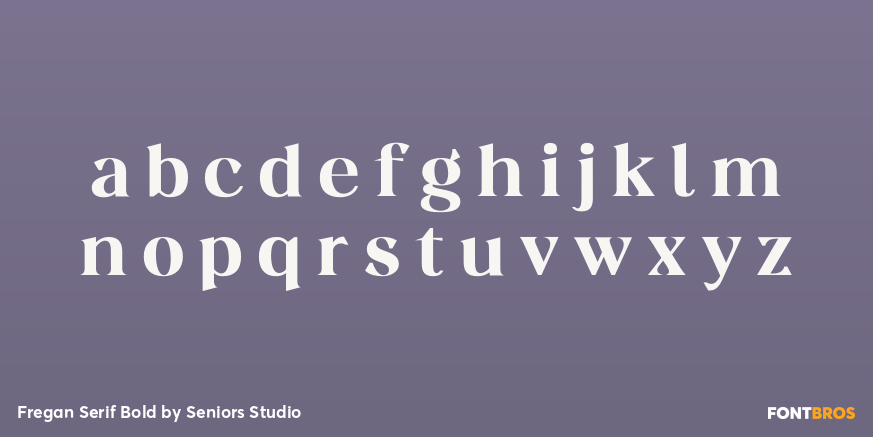 Fregan Serif Bold Font Poster #1
