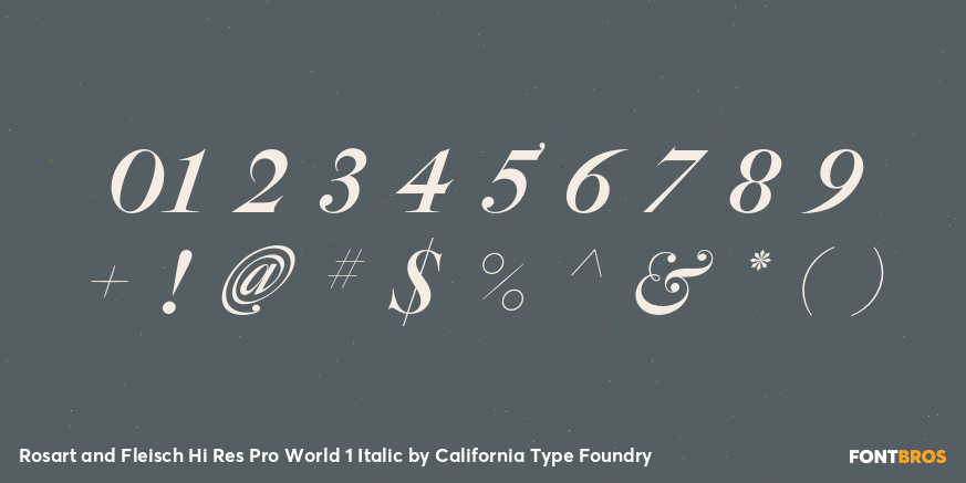 Rosart and Fleisch Hi Res Pro World 1 Italic Font Poster #4