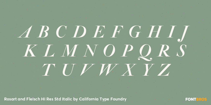 Rosart and Fleisch Hi Res Std Italic Font Poster #2