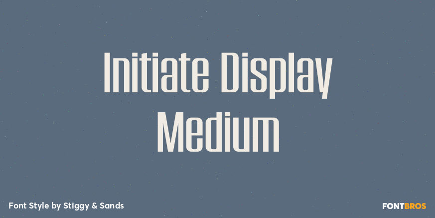 Initiate Display Medium Poster