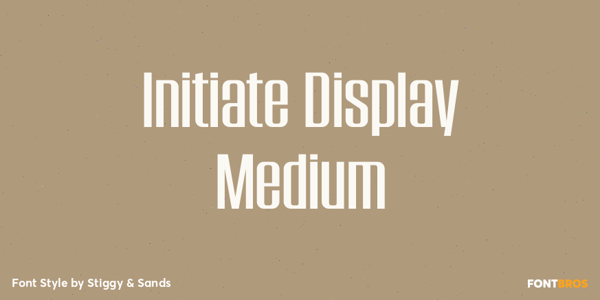 Initiate Display Medium Poster