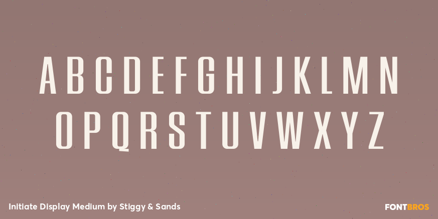 Initiate Display Medium Font Poster #2