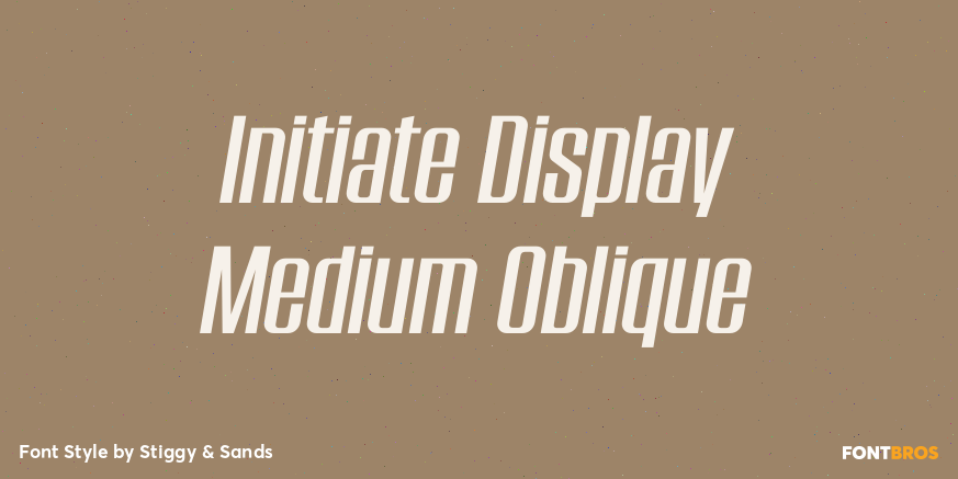 Initiate Display Medium Oblique Poster