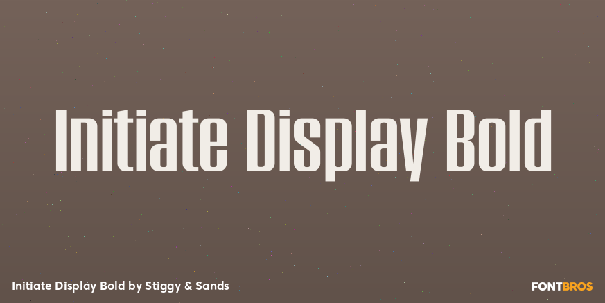Initiate Display Bold Poster