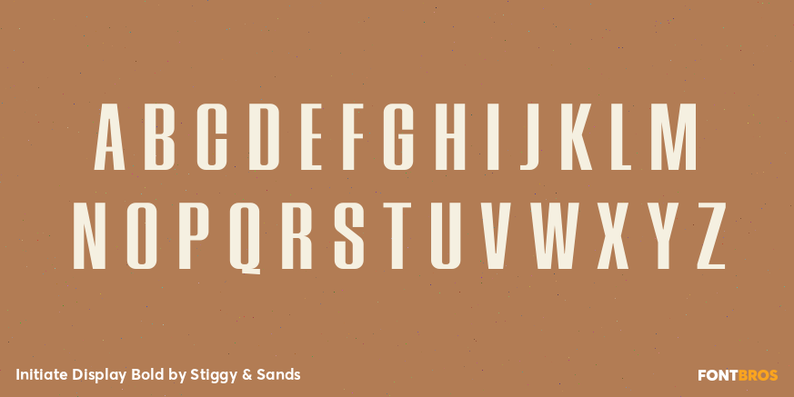 Initiate Display Bold Font Poster #2