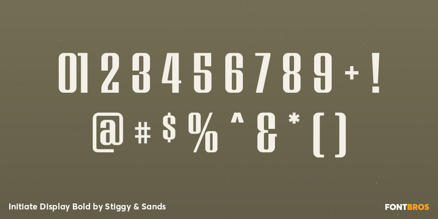 Initiate Display Bold Font Poster #4