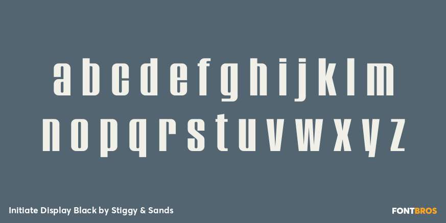 Initiate Display Black Font Poster #3