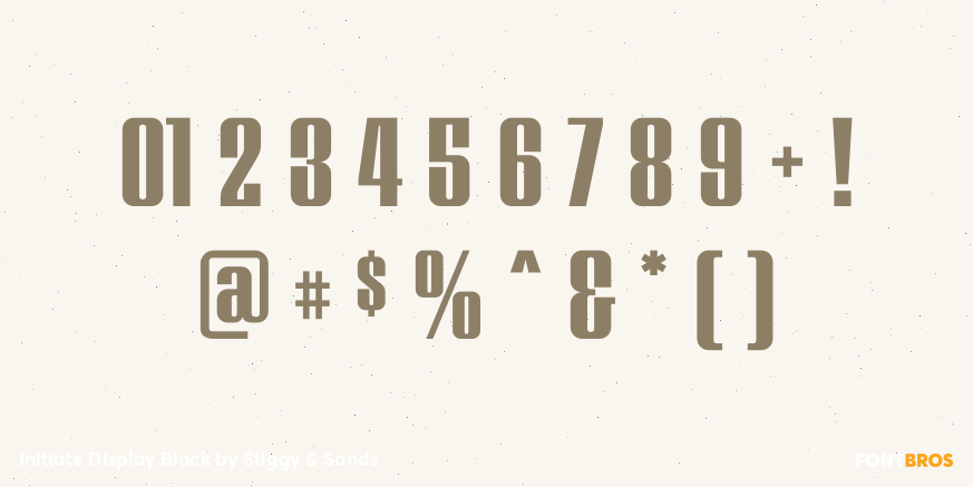 Initiate Display Black Font Poster #4