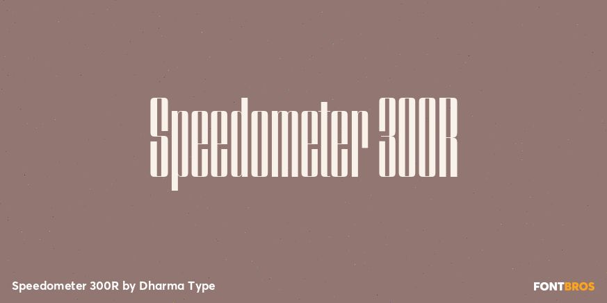 Speedometer 300R Font Poster #1