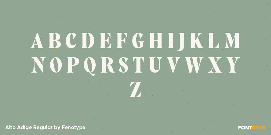 Alto Adige Regular Font Poster #1