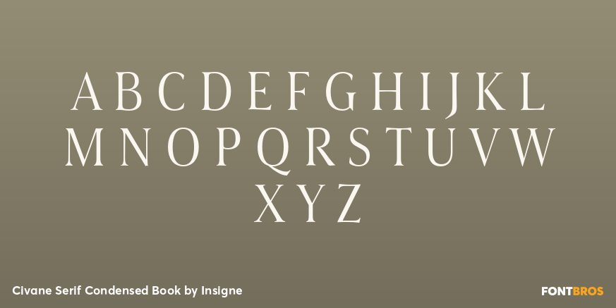 Civane Serif Condensed Book Font Poster #2