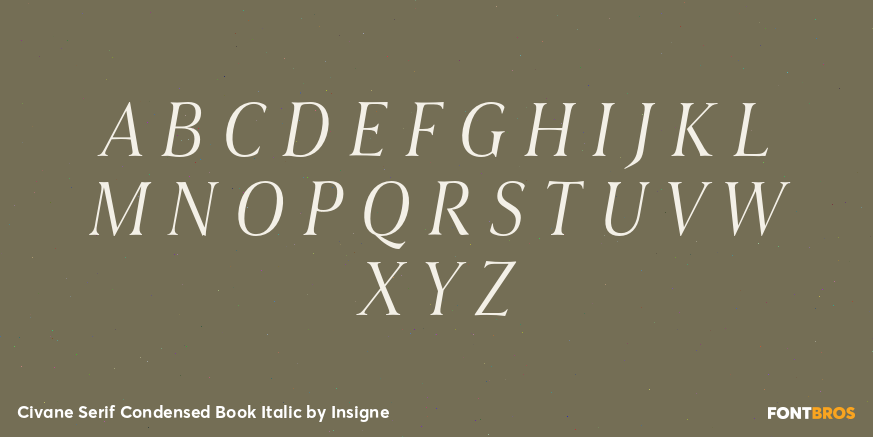 Civane Serif Condensed Book Italic Font Poster #2