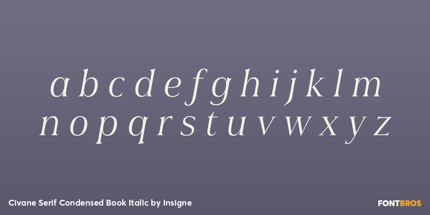 Civane Serif Condensed Book Italic Font Poster #3