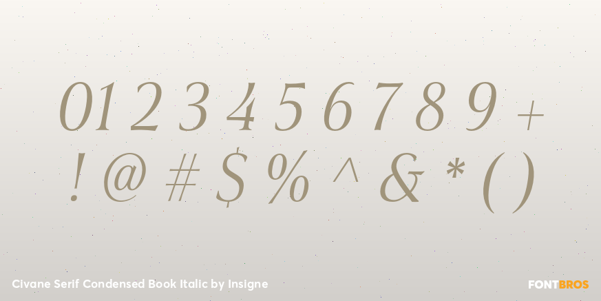 Civane Serif Condensed Book Italic Font Poster #4