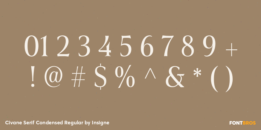 Civane Serif Condensed Regular Font Poster #4