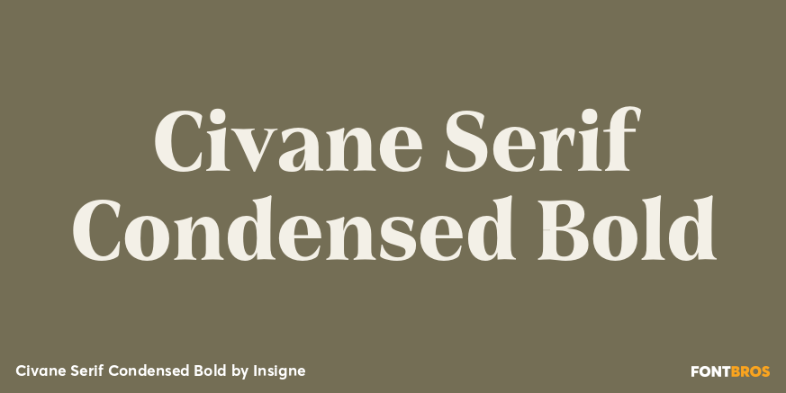 Civane Serif Condensed Bold Font Poster #1
