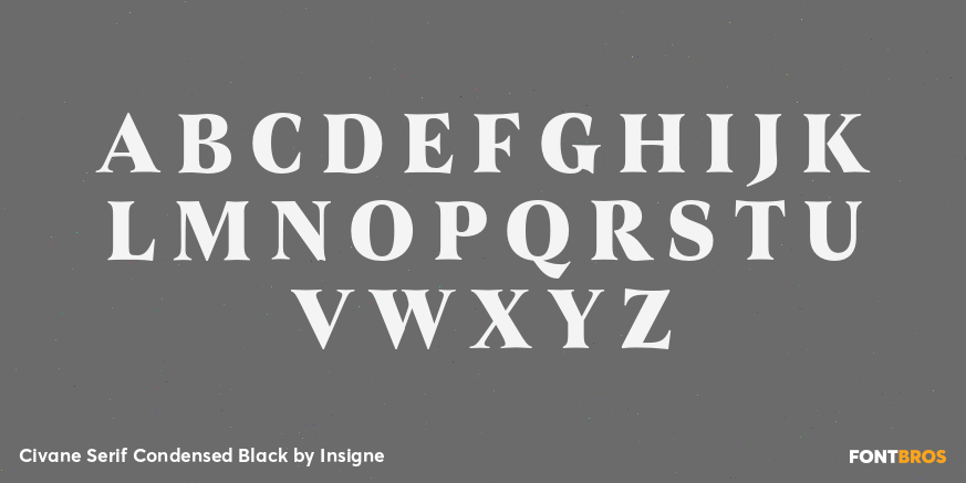 Civane Serif Condensed Black Font Poster #2