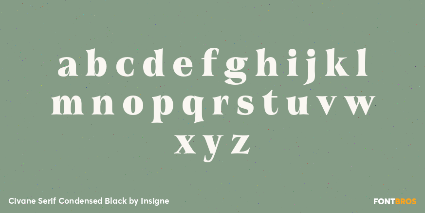 Civane Serif Condensed Black Font Poster #3