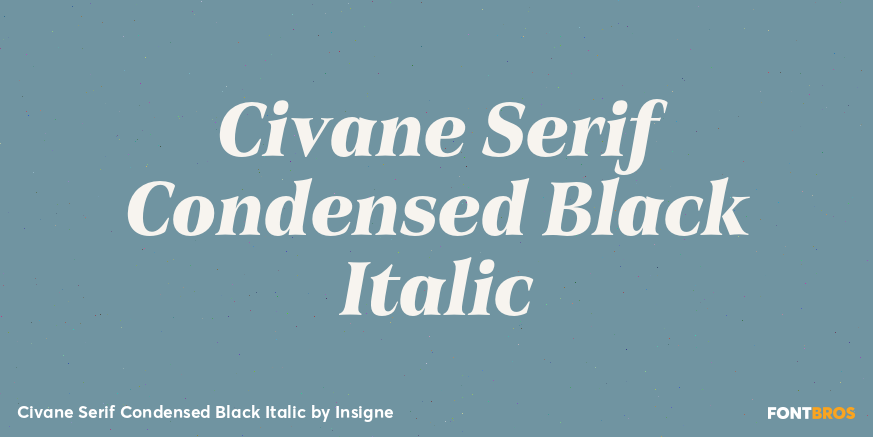 Civane Serif Condensed Black Italic Font Poster #1