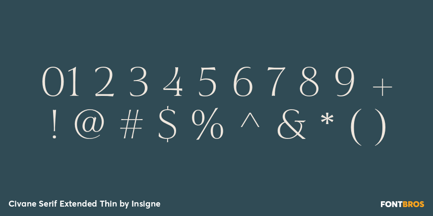 Civane Serif Extended Thin Font Poster #4