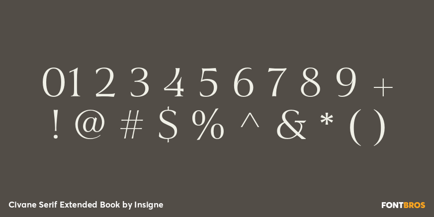 Civane Serif Extended Book Font Poster #4
