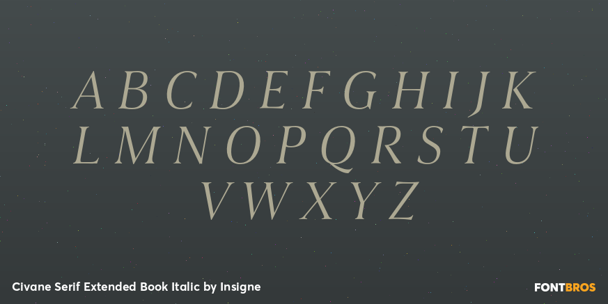 Civane Serif Extended Book Italic Font Poster #2