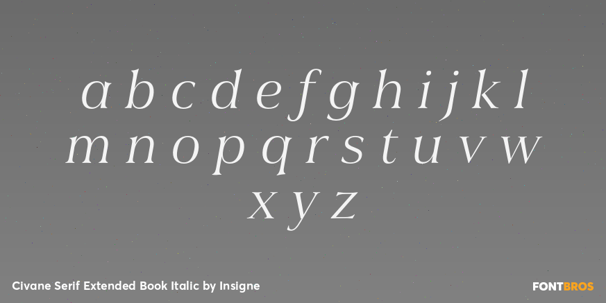 Civane Serif Extended Book Italic Font Poster #3