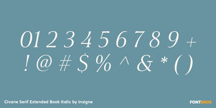 Civane Serif Extended Book Italic Font Poster #4