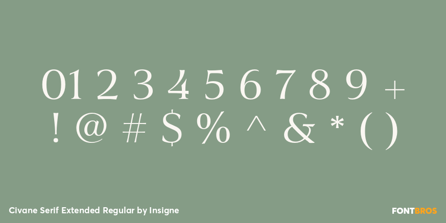 Civane Serif Extended Regular Font Poster #1