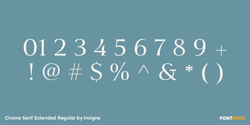Civane Serif Extended Regular Font Poster #4