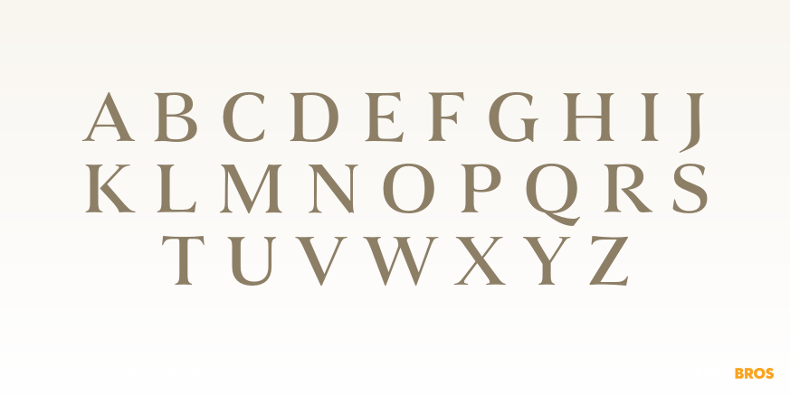 Civane Serif Extended Medium Font Poster #2