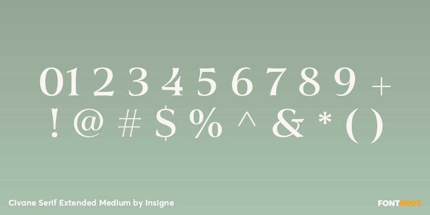 Civane Serif Extended Medium Font Poster #4