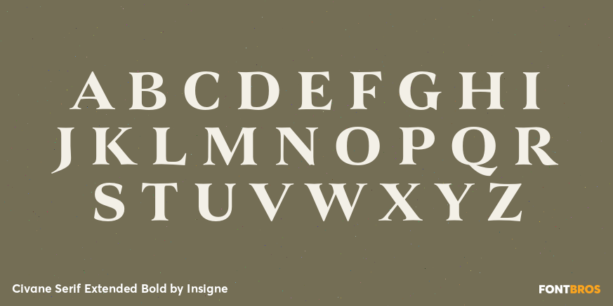 Civane Serif Extended Bold Font Poster #2