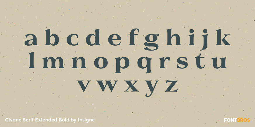 Civane Serif Extended Bold Font Poster #3