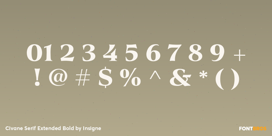 Civane Serif Extended Bold Font Poster #4