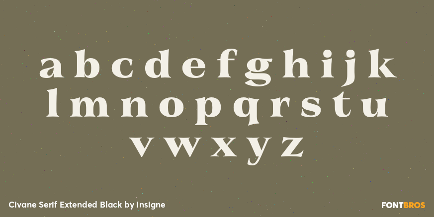 Civane Serif Extended Black Font Poster #3