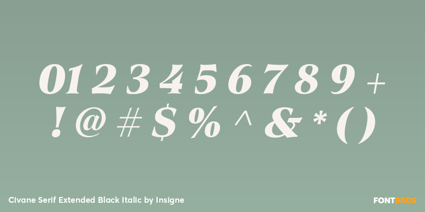 Civane Serif Extended Black Italic Font Poster #1
