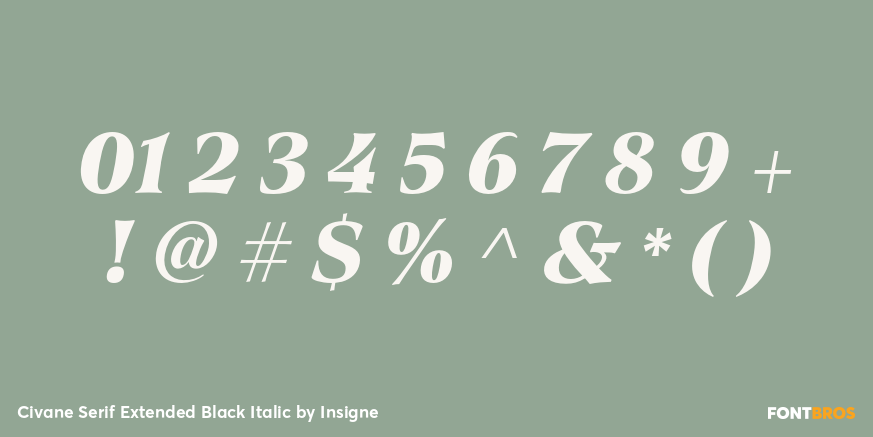Civane Serif Extended Black Italic Font Poster #4