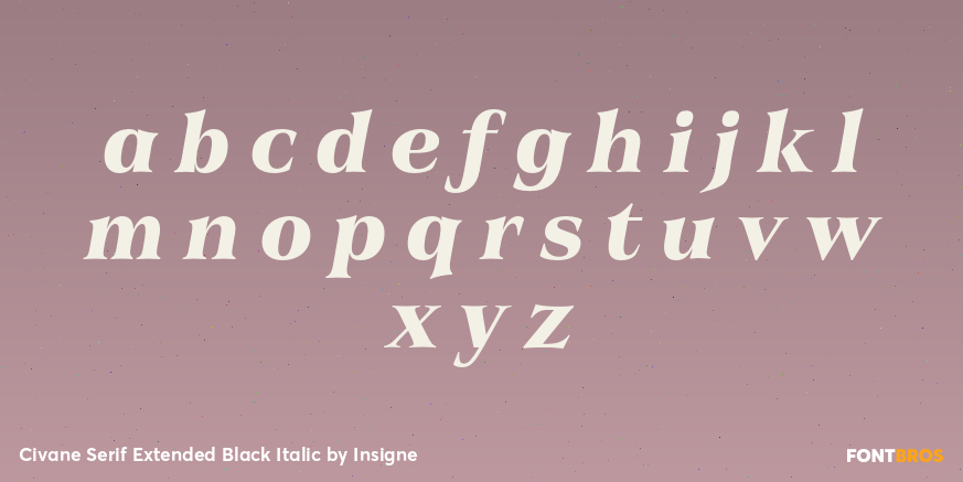 Civane Serif Extended Black Italic Font Poster #1