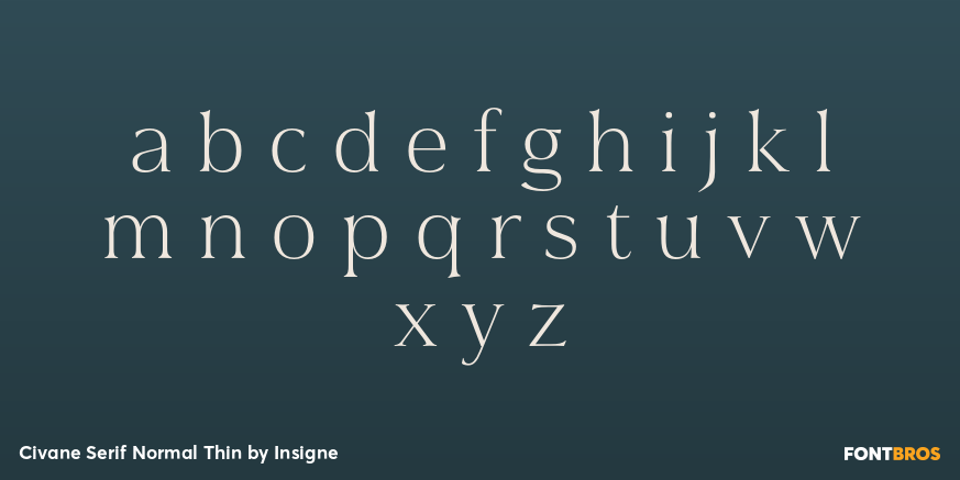 Civane Serif Normal Thin Font Poster #3