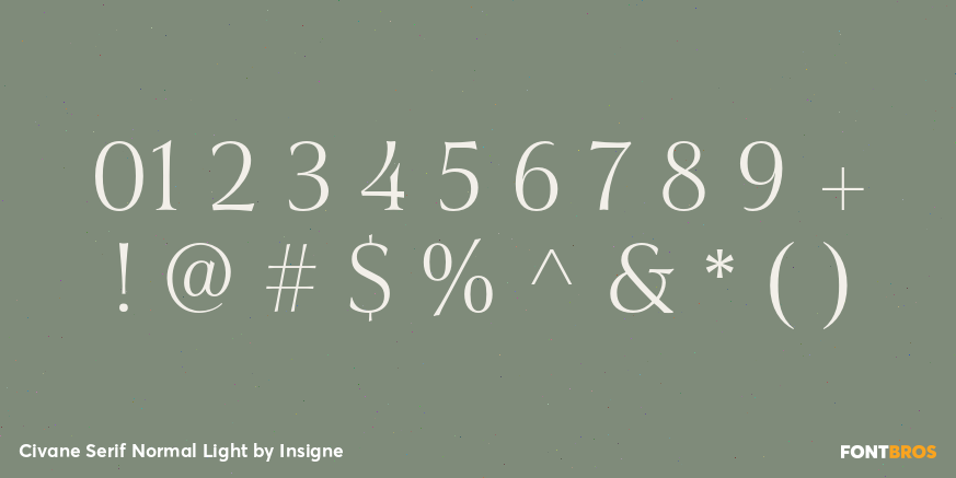 Civane Serif Normal Light Font Poster #1