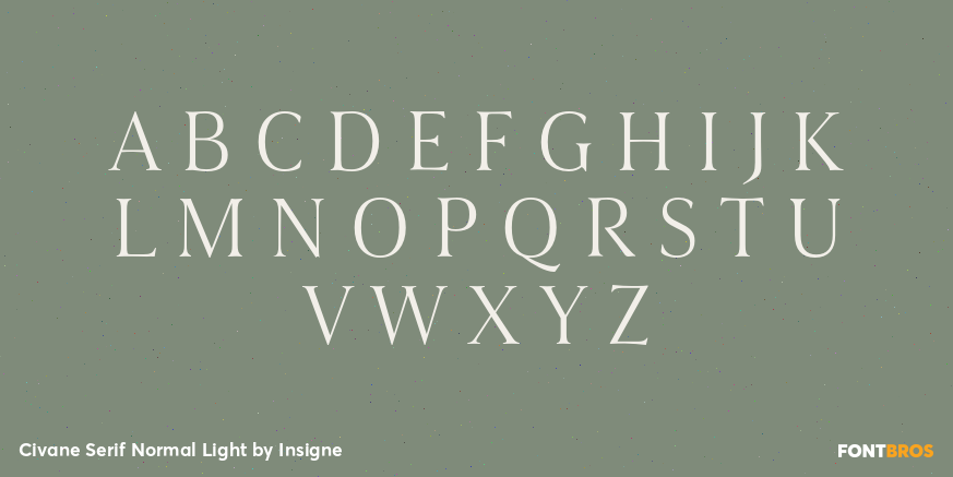 Civane Serif Normal Light Font Poster #2