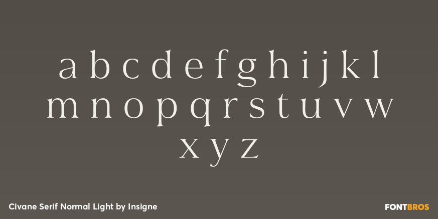 Civane Serif Normal Light Font Poster #3