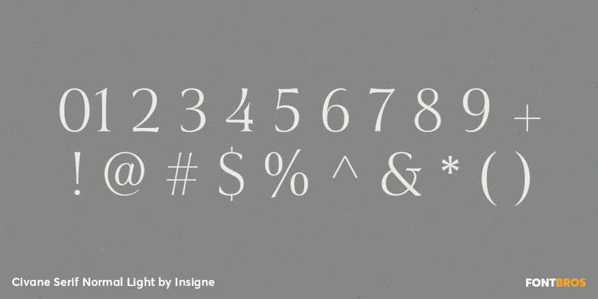 Civane Serif Normal Light Font Poster #4