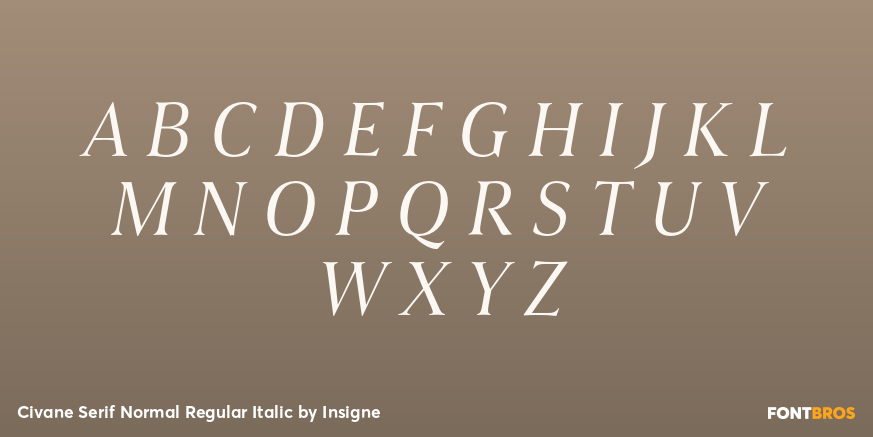 Civane Serif Normal Regular Italic Font Poster #2